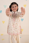 2 Piece Embroidered Lawn Suit