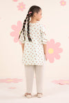 2 Piece Embroidered Lawn Suit