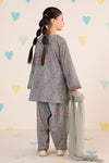 3 Piece Embroidered Lawn Suit