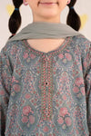 3 Piece Embroidered Lawn Suit
