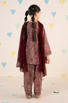 3 Piece Embroidered Lawn Suit