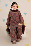 3 Piece Embroidered Lawn Suit