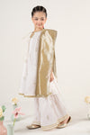 3 Piece Embroidered Dobby Suit