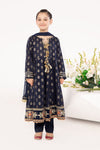 3 Piece Embroidered Suit