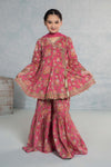 3 Piece Embroidered Lawn Suit