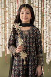 3 Piece Embroidered Lawn Suit