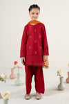 3 Piece Embroidered Lawn Suit