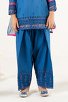 3 Piece Embroidered Lawn Suit
