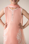 3 Piece Embroidered Lawn Suit