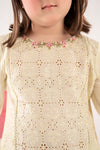 3 Piece Embroidered Lawn Suit