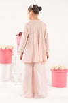 2 Piece Embroidered Lawn Suit
