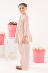 2 Piece Embroidered Lawn Suit