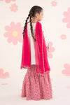 3 Piece Embroidered Lawn Suit