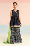3 Piece Embroidered Lawn Suit