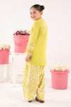 2 Piece Embroidered Lawn Suit