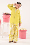 2 Piece Embroidered Lawn Suit