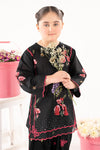 2 Piece Embroidered Lawn Suit