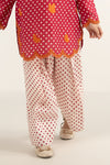 2 Piece Embroidered Lawn Suit