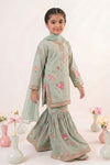 3 Piece Embroidered Lawn Suit
