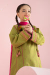 3 Piece Embroidered Jacquard Brochia Suit