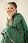 3 Piece Embroidered Linen Suit