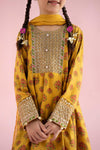 3 Piece Embroidered Linen Suit