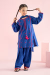 3 Piece Embroidered Khaddar Suit