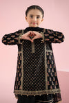3 Piece Embroidered Karandi Suit