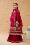 3 Piece Embroidered Suit