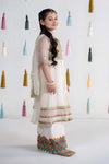 3 Piece Embroidered Net Suit