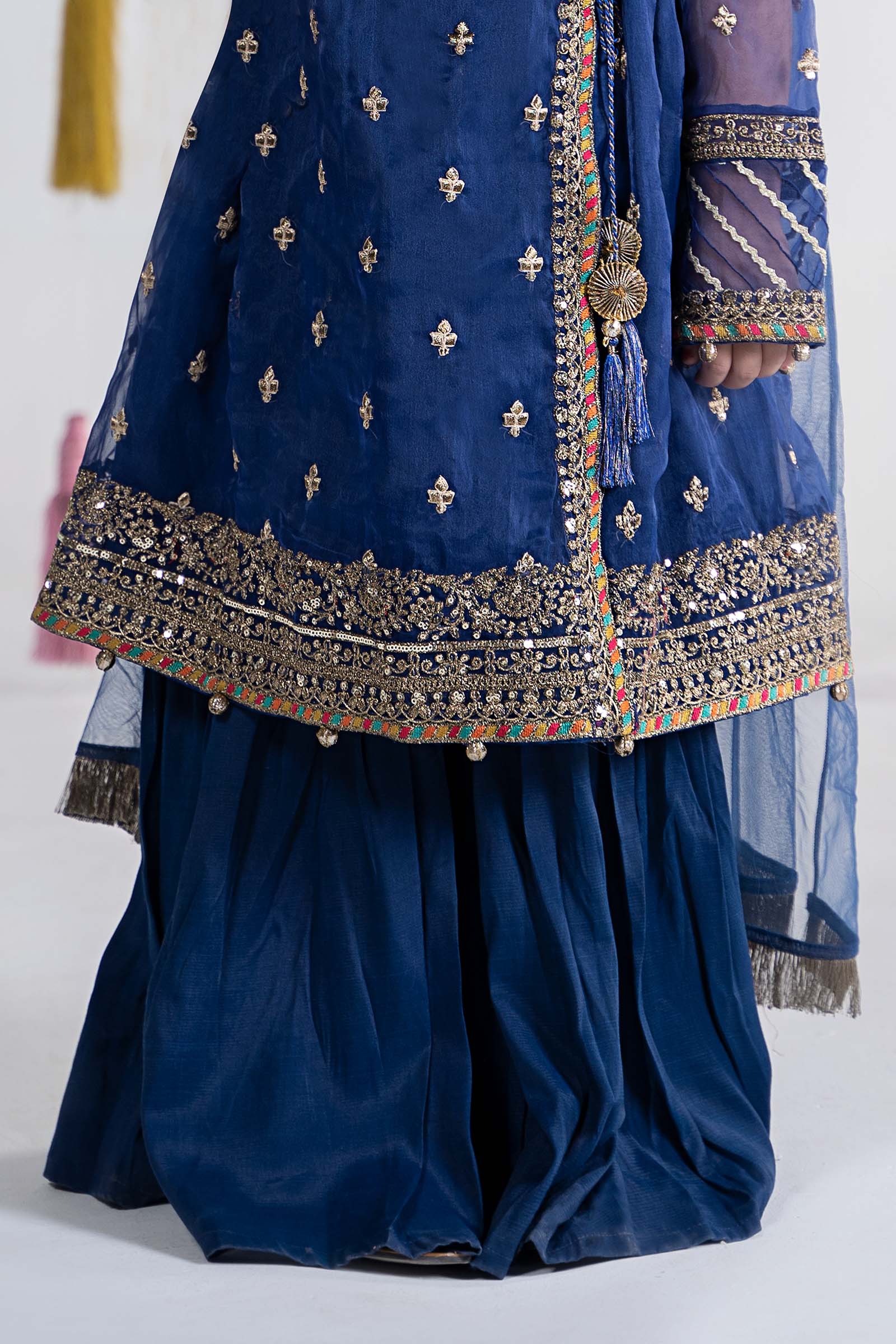 3 Piece Embroidered Organza Suit