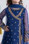 3 Piece Embroidered Organza Suit
