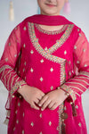 3 Piece Embroidered Organza Suit