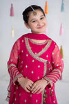 3 Piece Embroidered Organza Suit