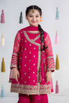 3 Piece Embroidered Organza Suit