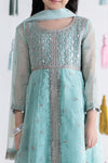 3 Piece Embroidered Organza Suit