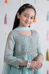 3 Piece Embroidered Organza Suit