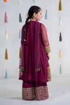 3 Piece Embroidered Net Suit