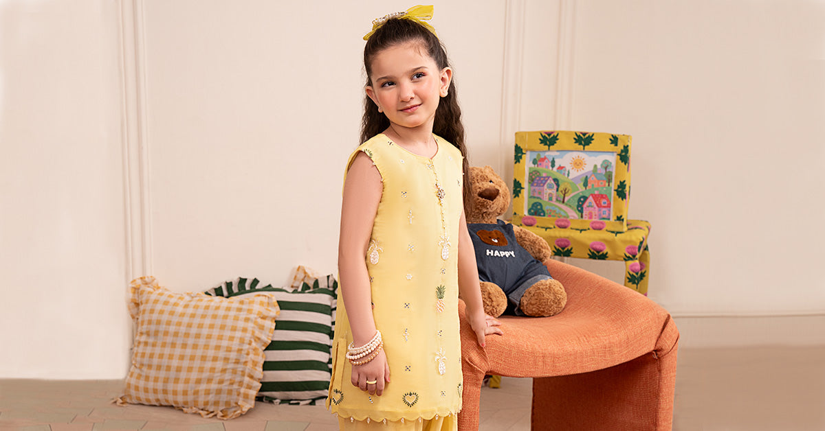 2 Piece Embroidered Organza Suit