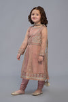 3 Piece Embroidered Suit
