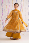 3 Piece Embroidered Net Suit