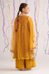 3 Piece Embroidered Net Suit
