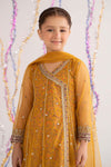 3 Piece Embroidered Net Suit