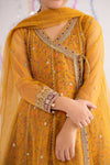 3 Piece Embroidered Net Suit
