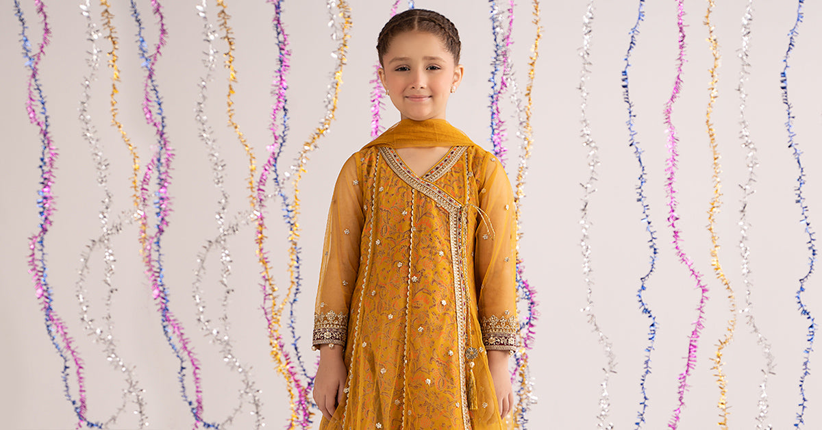 3 Piece Embroidered Net Suit