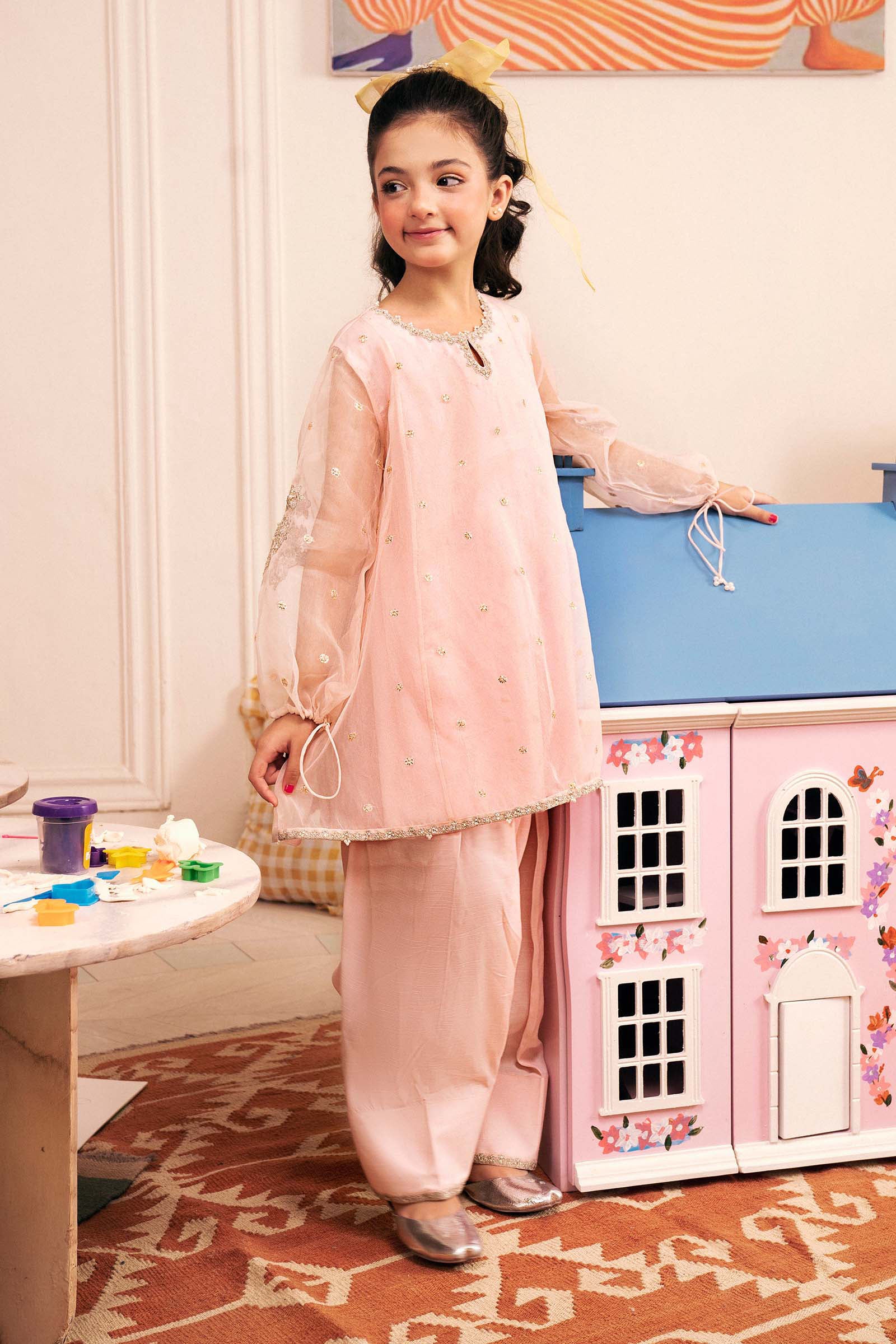 2 Piece Embroidered Organza Suit