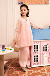 2 Piece Embroidered Organza Suit
