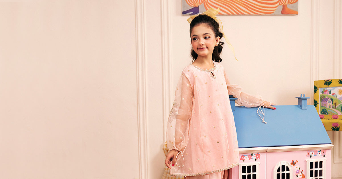 2 Piece Embroidered Organza Suit