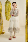 3 Piece Embroidered Net Suit