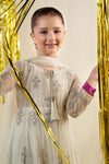 3 Piece Embroidered Net Suit